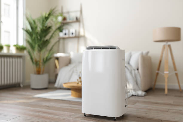 Best HVAC air duct cleaning  in Dickinson, TX